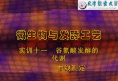 微生物与发酵工艺