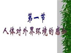 人体对外界环境的感知