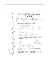 广东省罗定市2011届九年级下学期阶段检测数学试题（扫描版）