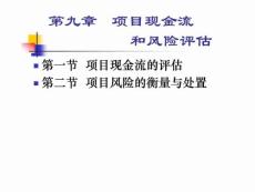 CPA 财务管理9项目现金流和风险评估-【财务管理精品】