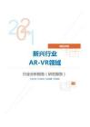 新经济类新兴行业AR-VR领域分析报告（研究报告）