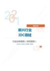 新经济类新兴行业IDC领域分析报告（研究报告）