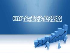 ERP企业沙盘模拟