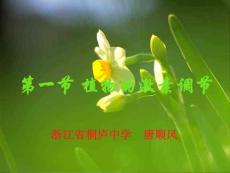 高中生物各单元课件-植物的激素调节