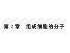 高中生物第2章组成细胞的分子复习课件必修一