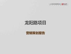 上海浦东新区龙阳路地产项目营销策划报告
