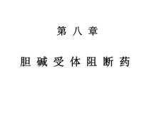 08本科传出8--章