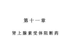 08级本科传出11--章