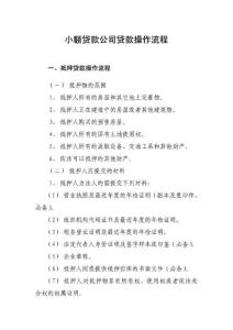 保驾护航：小额贷款公司贷款操作流程汇编
