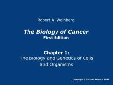 癌生物学第一章ppt----原版图片
