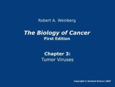 癌生物学第三章ppt----英文原版图片