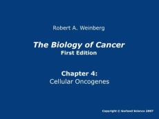 癌生物学第四章ppt----英文原版图片