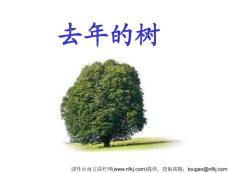 【精品】人教版四年级语文上册《去年的树》PPT课件