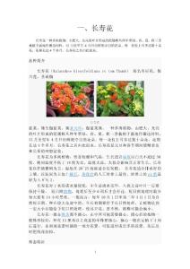 花卉百科：长寿、玉树