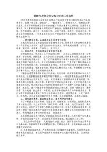2010年度社会治安综合治理工作总结