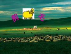 新课标人音版小学音乐三年级下册《剪羊毛》精品课件