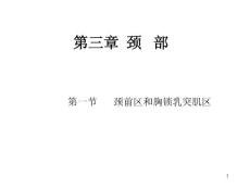 哈尔滨医科大基础医学局部解剖学PPT课件 颈部