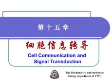 中国医科大基础医学生物化学PPT课件 第十五章 细胞信息转导