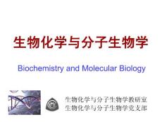 中国医科大基础医学生物化学PPT课件 