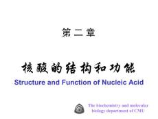 中国医科大基础医学生物化学PPT课件 第二章 核酸的结构和功能