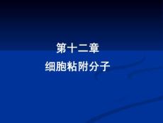 中国医科大基础医学免疫学PPT课件 第十二章 细胞粘附分子