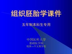中国医科大基础医学组织学与胚胎学PPT课件 06肌组织
