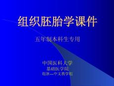 中国医科大基础医学组织学与胚胎学PPT课件 07神经组织