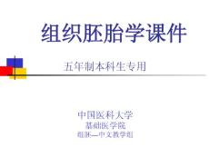 中国医科大基础医学组织学与胚胎学PPT课件 第12章 免疫系统