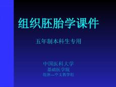 中国医科大基础医学组织学与胚胎学PPT课件 14呼吸系统