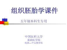中国医科大基础医学组织学与胚胎学PPT课件 第21章 人胚发生和早期发育