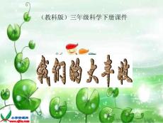 教科版科学三下《我们的大丰收》PPT课件【最新】