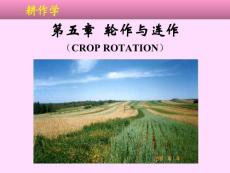 耕作学 第五章 轮作与连作