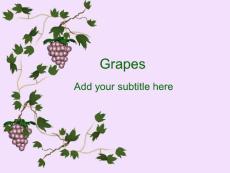 grapes-ppt模板背景