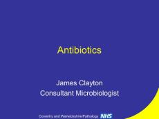 抗生素（英文PPT）Antibiotics