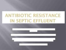 脓毒血症中的抗生素耐药（英文PPT）Antibiotic Resistance in Septic Effluent