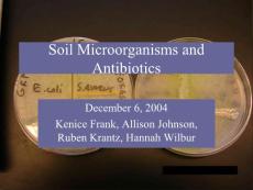 土壤微生物与抗生素（英文PPT）Organisms in Soil and Antibiotics