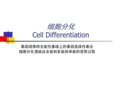 医学细胞生物学9_细胞分化