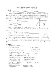 2003年郴州市中考模拟试题