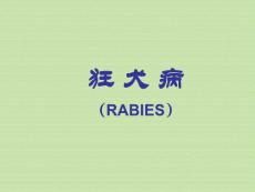 《传染病学》课程教学课件 狂犬病(RABIES)(41P)