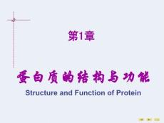 第七版生化课件--第一章 蛋白质的结构与功能