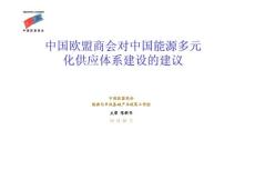 中国欧盟商会对中国能源多元化体系建设的建议EUCCC