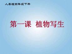 四年级美术下册 植物写生2课件 人美版