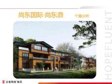 上海市浦东区三林板块大型豪宅尚东鼎项目个案分析