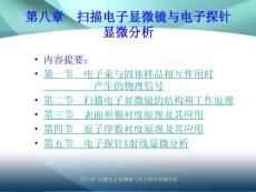 第八章  扫描电子显微镜与电子探针显微分析