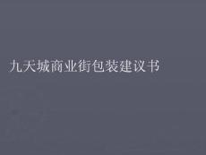 九天城商业街包装方案