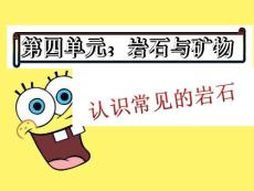 认识常见岩石课件PPT下载4 苏教版五年级科学下册课件