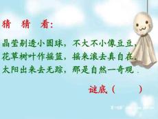 苏教版小学语文三年级上册精品课件《小露珠》