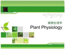 01 序论&植物细胞生理