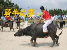 heqing骑牛比赛_苏教版_一年级下册!2002