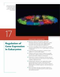 Concepts of Genetics (10th Edition)_Chapter 17